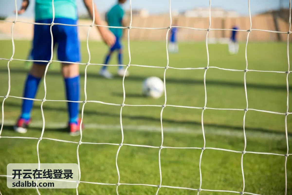 开云在线登录相关内容封面图