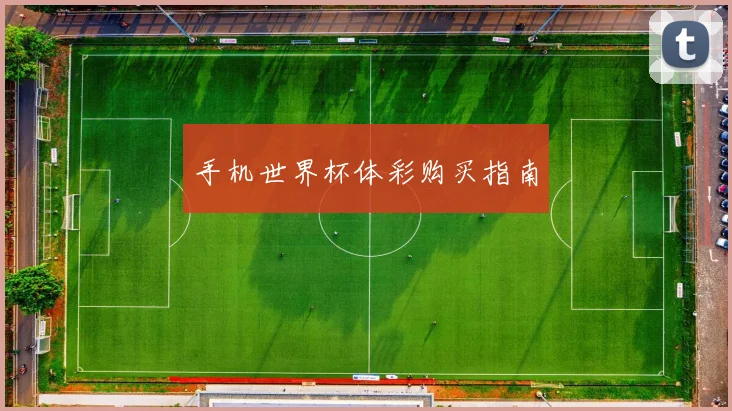 手机世界杯体彩购买指南