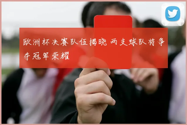 欧洲杯决赛队伍揭晓 两支球队将争夺冠军荣耀
