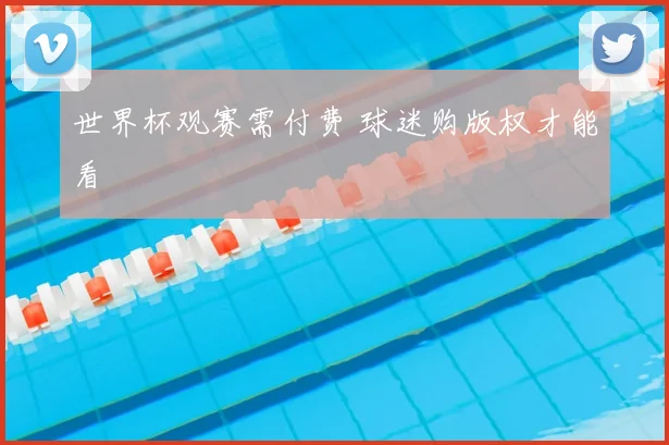 世界杯观赛需付费 球迷购版权才能看