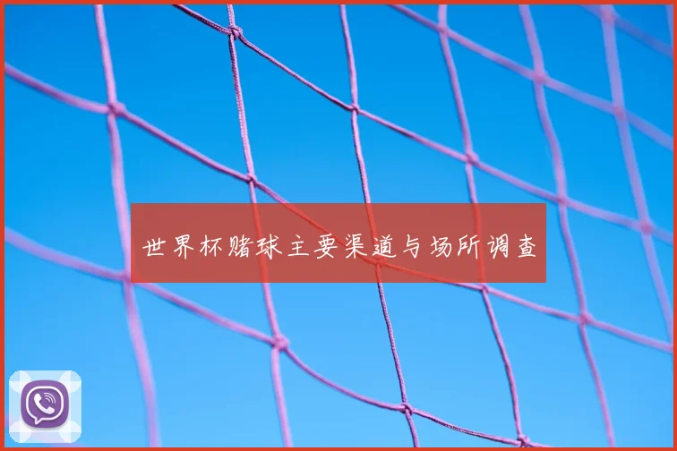 世界杯赌球主要渠道与场所调查