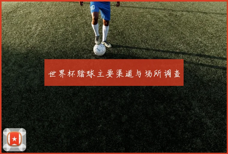 世界杯赌球主要渠道与场所调查