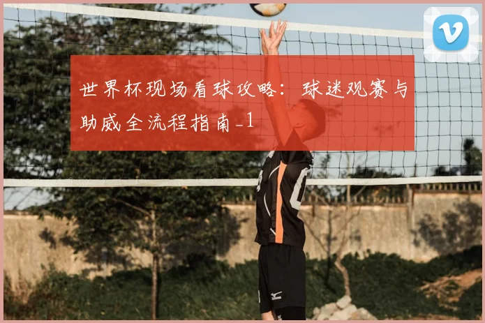 世界杯现场看球攻略:球迷观赛与助威全流程指南_1