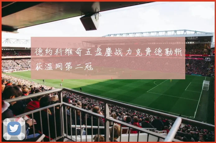 德约科维奇五盘鏖战力克费德勒斩获温网第二冠