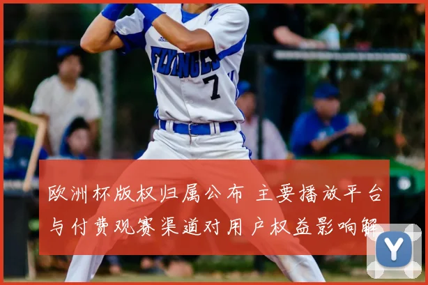 欧洲杯版权归属公布 主要播放平台与付费观赛渠道对用户权益影响解析